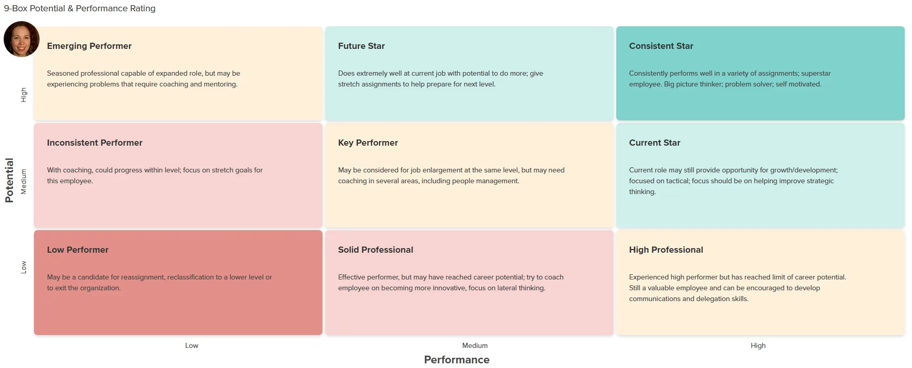 Workzoom succession planning 9-box grid rating employees by performance and potential, from emerging performer to consistent star